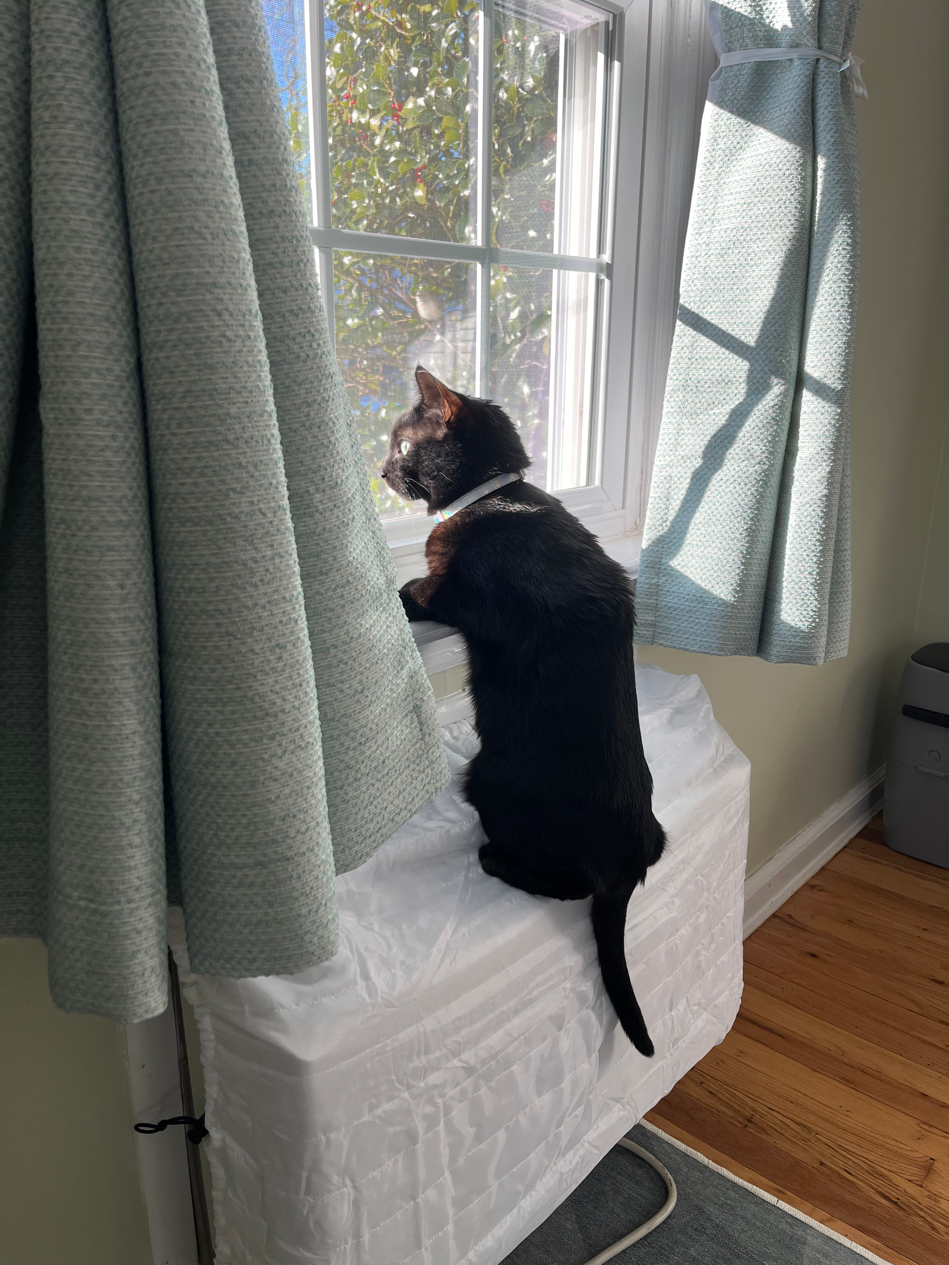 Jeff looking out the window