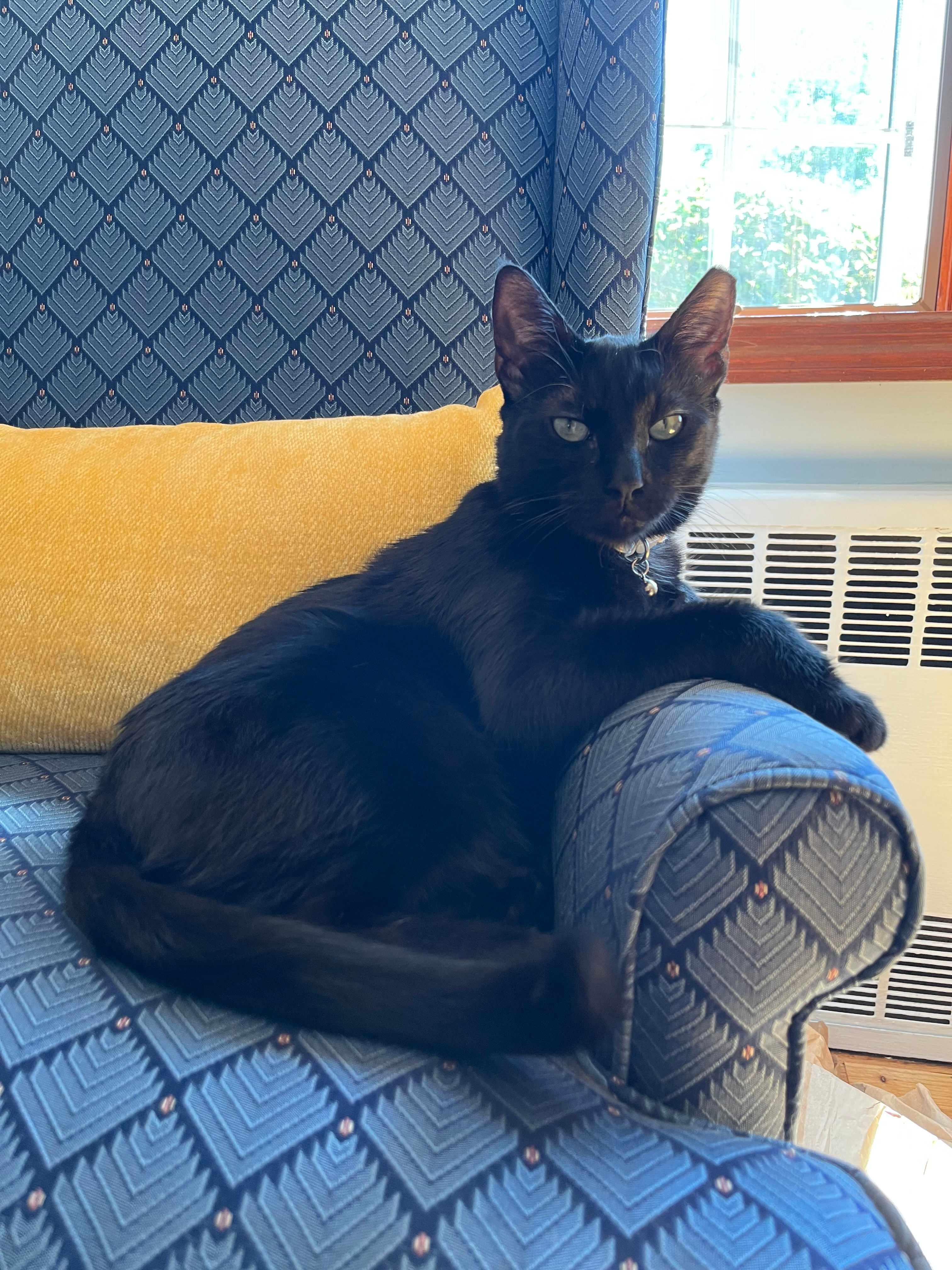 Jeff on a chair